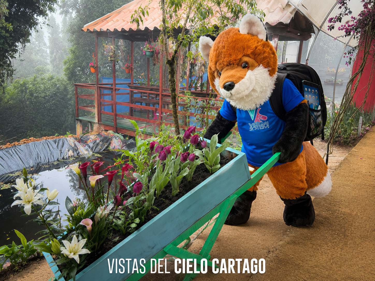 El Guarco Cartago